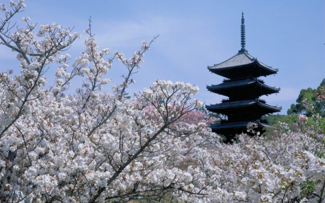 TOP 6 MUST-SEE ATTRACTIONS IN KYOTO, CULTURAL HEART OF JAPAN
