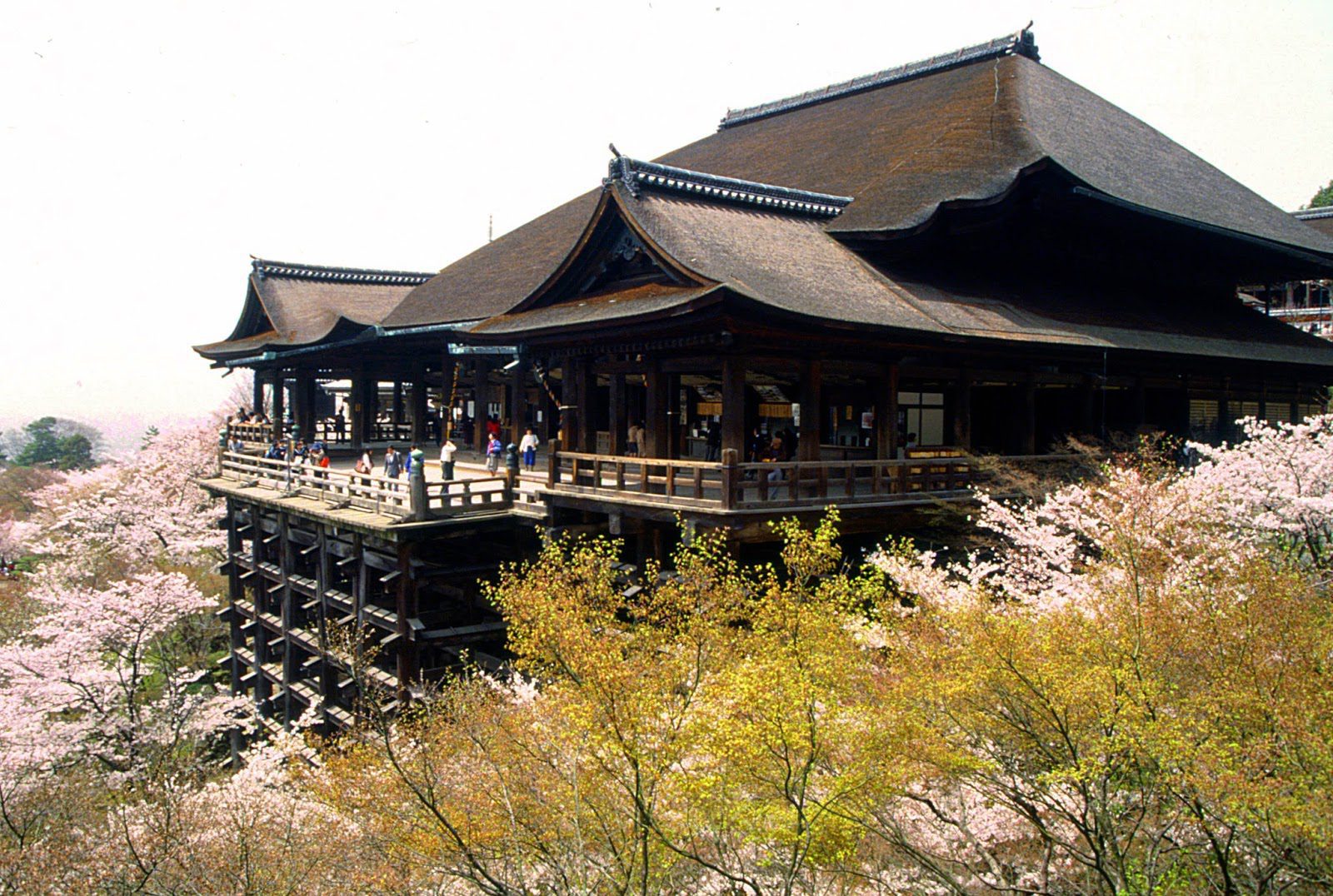 Unique Japan Tours Kyoto Japan Discovered Kiyomizudera Kiyomizu Temple