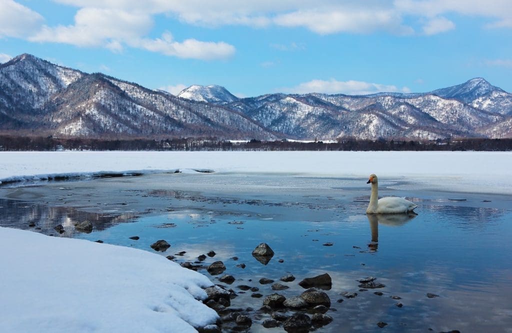 Lake Kussharo_UniqueJapanTours