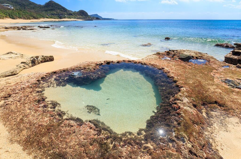 Amami Oshima Island Awarded UNESCO Natural Heritage Site Status