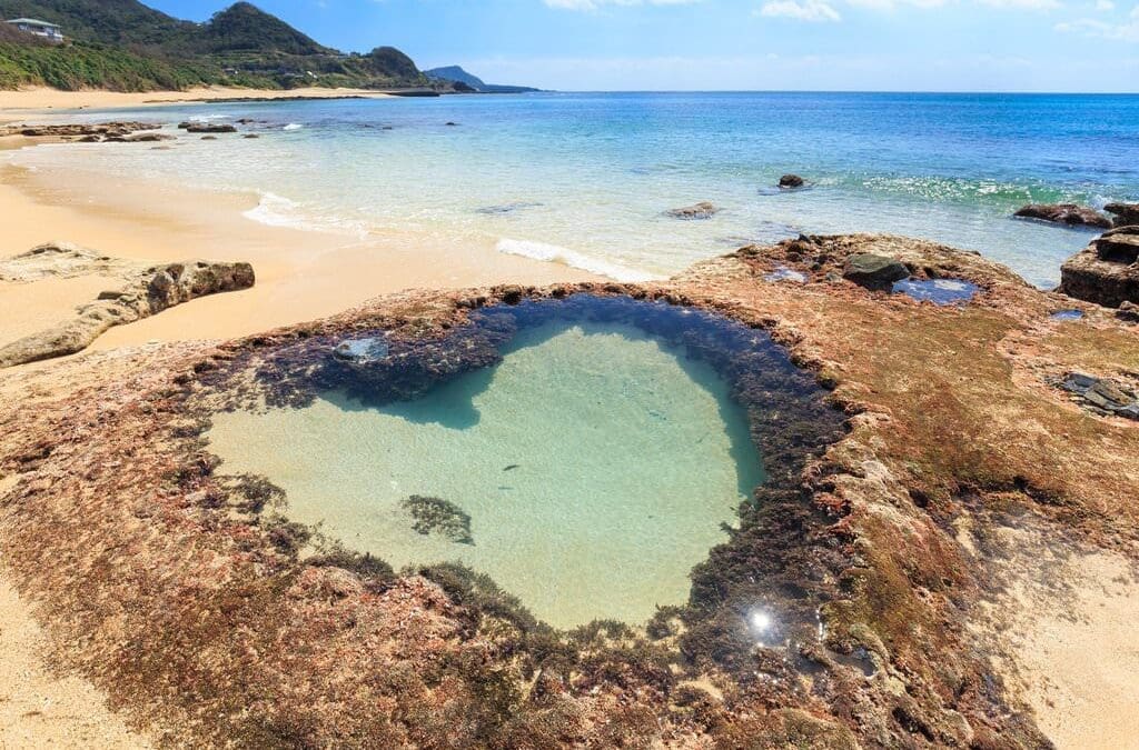 Amami Oshima Island Awarded UNESCO Natural Heritage Site Status