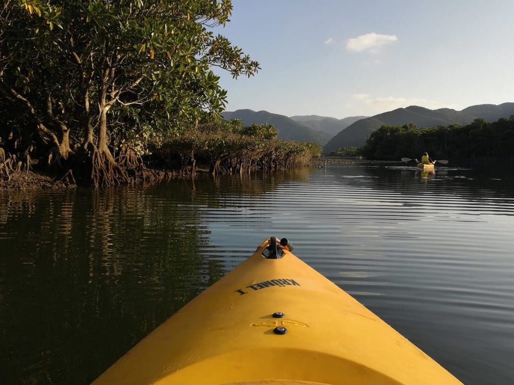 Amami Oshima Mangrove Forest Canoe