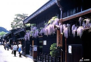 Unique Japan Tours Takayama Old Streets Flowers