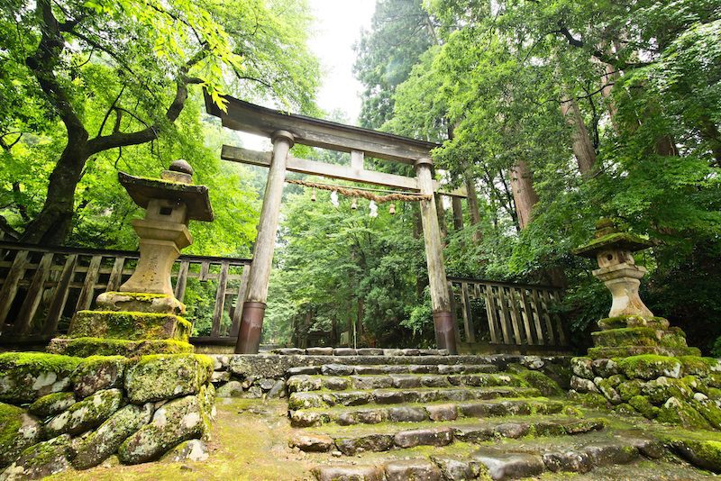 Hiking the Kumano Kodo Ancient Pilgrimage