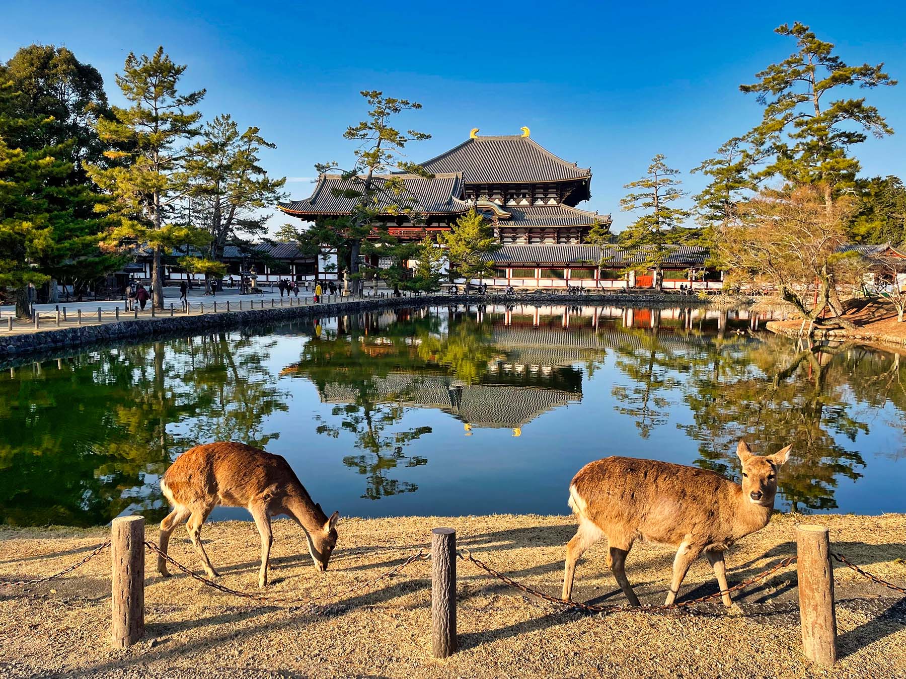 売り切れ, image size:1800x1350